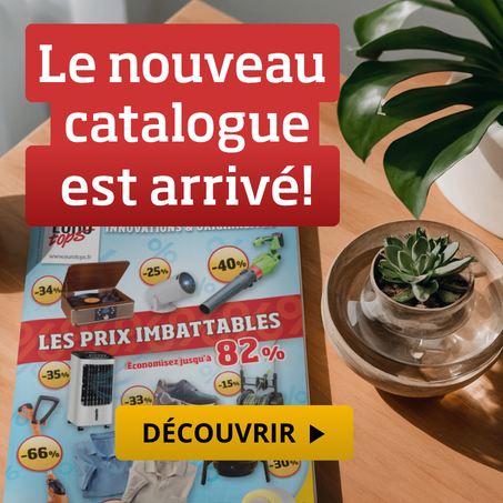 Les points forts du catalogue actuel